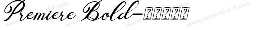 Premiere Bold字体转换
